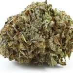 Darth Vader – Indica