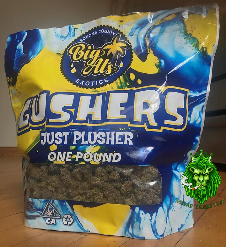 Gushers-Blue-Sherbet.png Gushers & Blue Sherbet - Image 1
