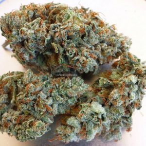 Silver-haze.jpg Silver Haze - Image 1