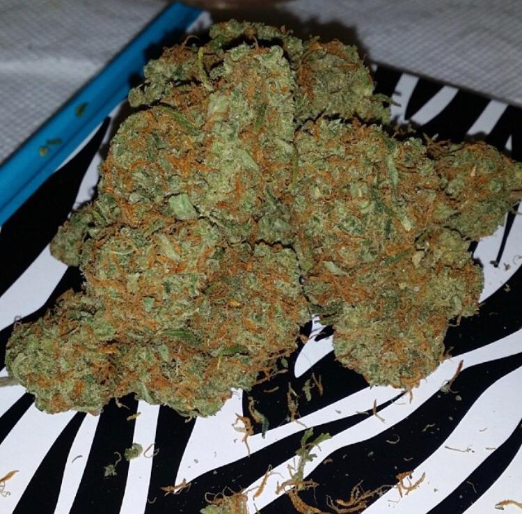 bubba-kush-1.jpeg BUBBA KUSH - Image 1